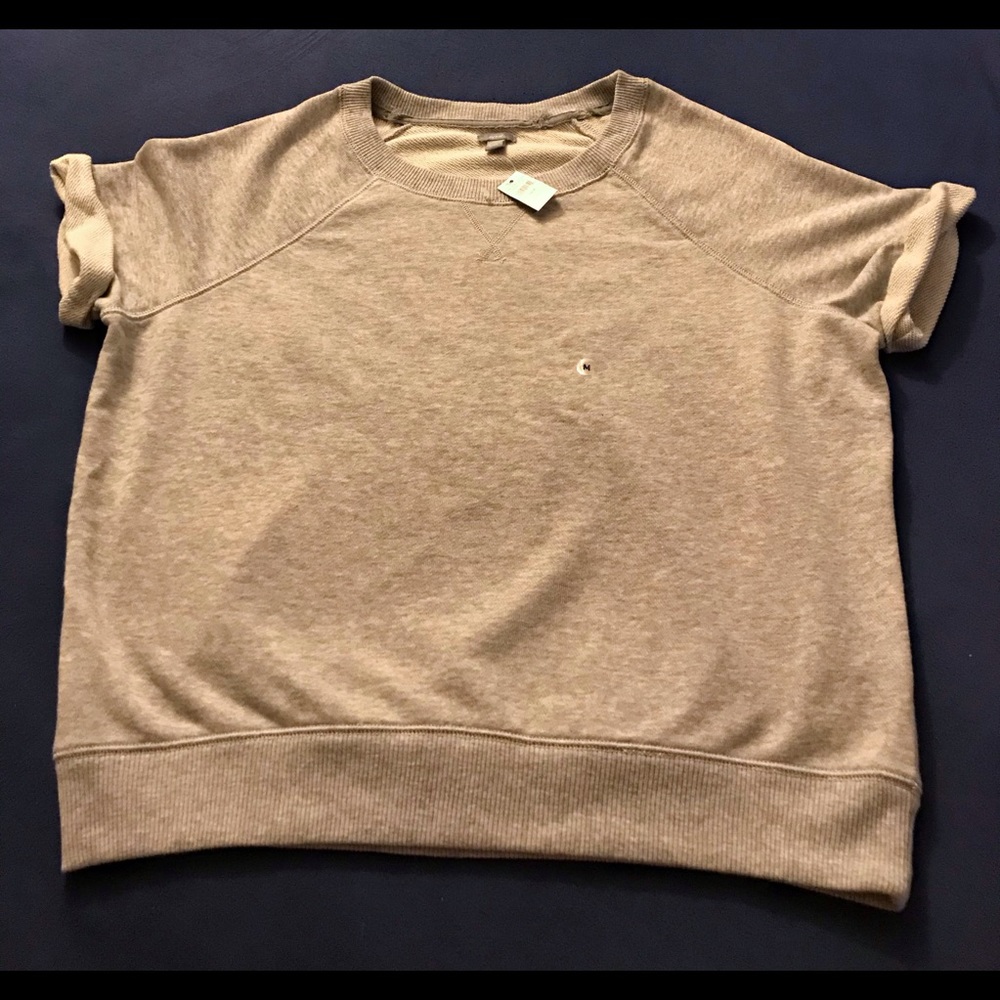Aerie short sleeve sweatshirt